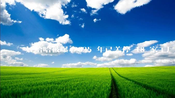 娃哈哈被曝 2025 年已关停 18 家工厂，此前曾回应纯净水由今麦郎代工，娃哈哈到底在布局什么？