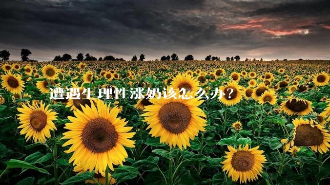遭遇生理性涨奶该怎么办？